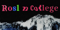 an image with the words 'Roslyn College' on it that has been manipulated in photoshop